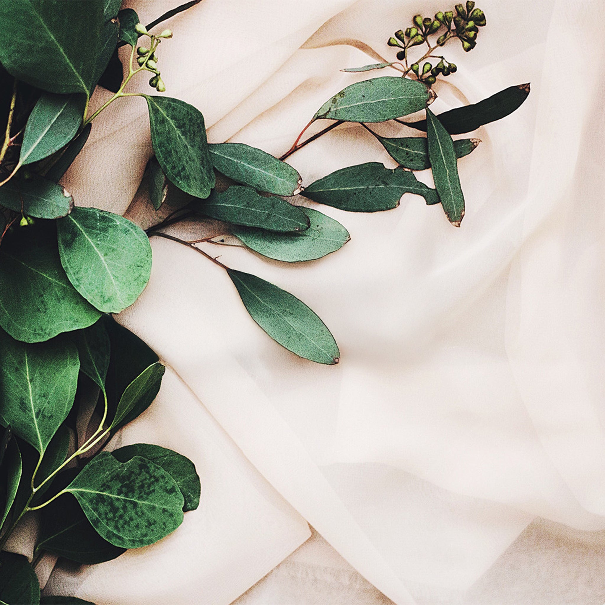 l'amour est bleu nachhaltige Stoffe