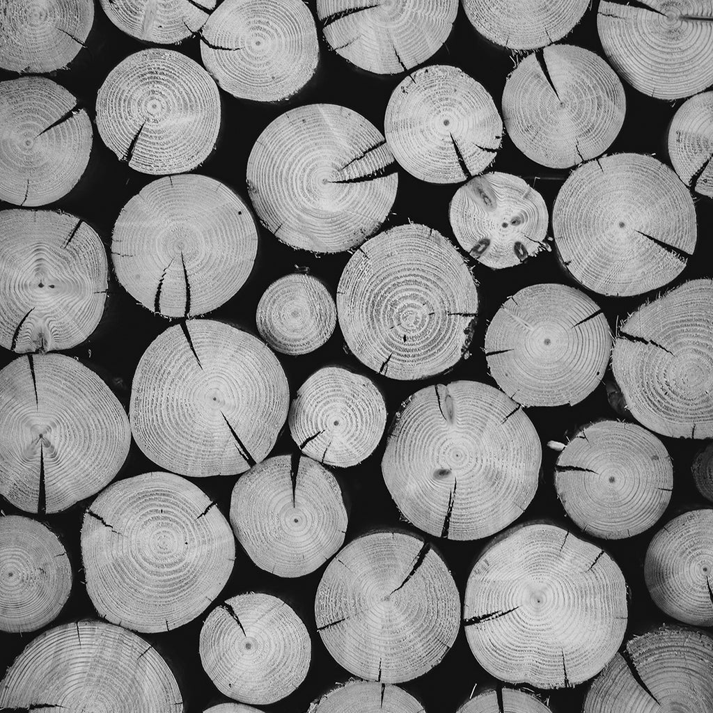 l'amour est bleu Tencel Lyocell